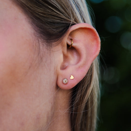 Ohrstecker „Lace“ - echte Wilde Möhre, 14k Goldfilled