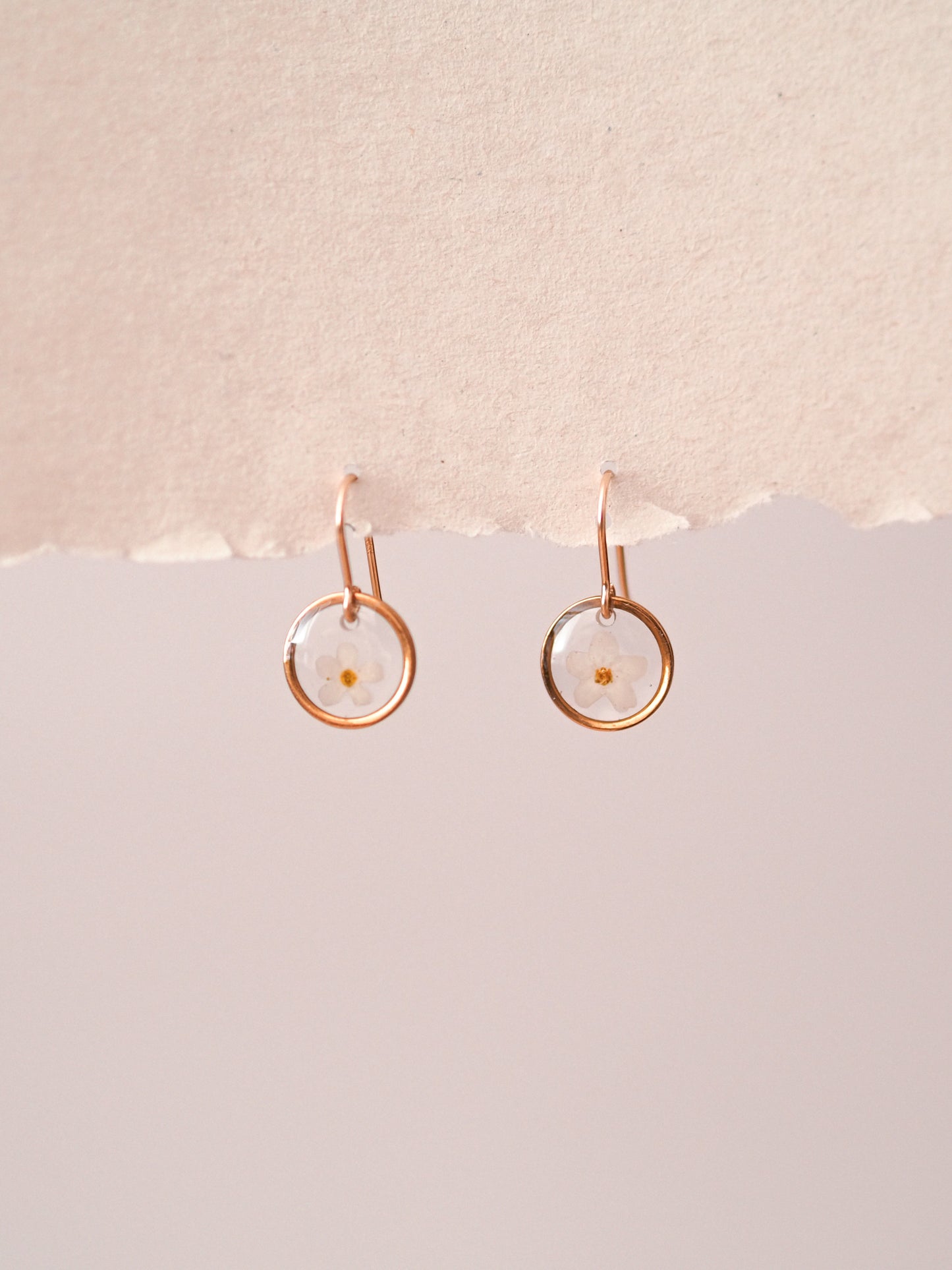 „Forget-Me-Not“ - Ohrringe mit echten Vergissmeinnicht, Edelstahl