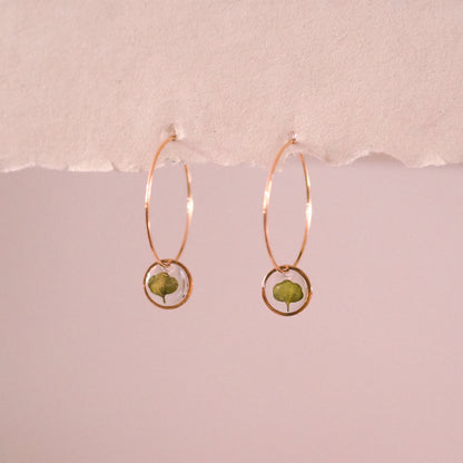 "Wildflower Hoops" - feine Creolen mit echten Blüten, Edelstahl