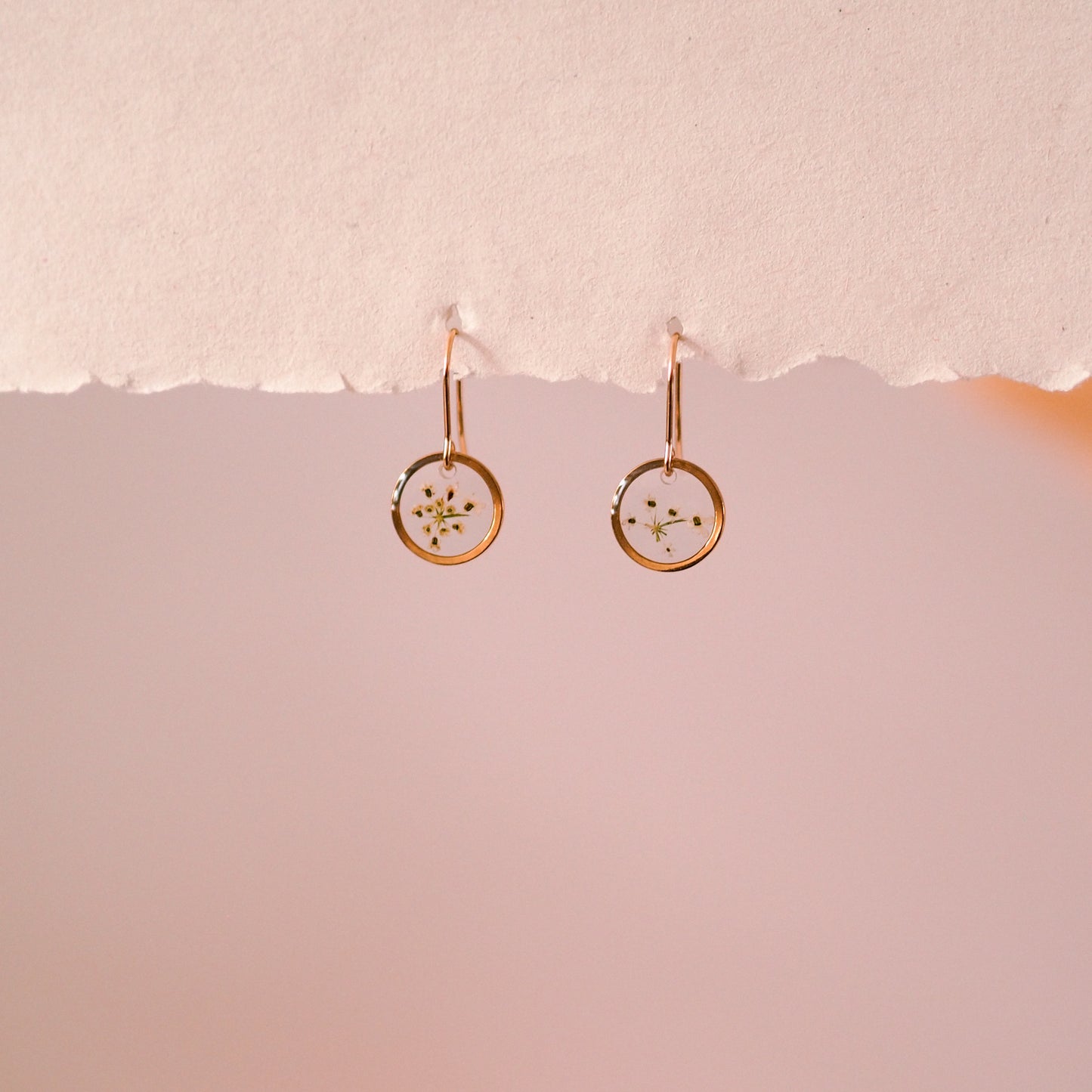 „Lace“ - Ohrringe mit echter Wilde Möhre, Edelstahl