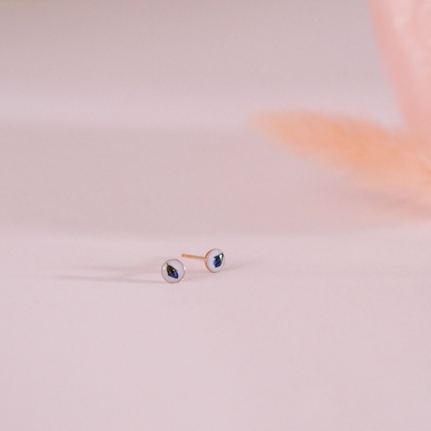 „Forget-Me-Not“ - Ohrstecker mit echten Vergissmeinnicht, 14k Goldfilled, 4mm