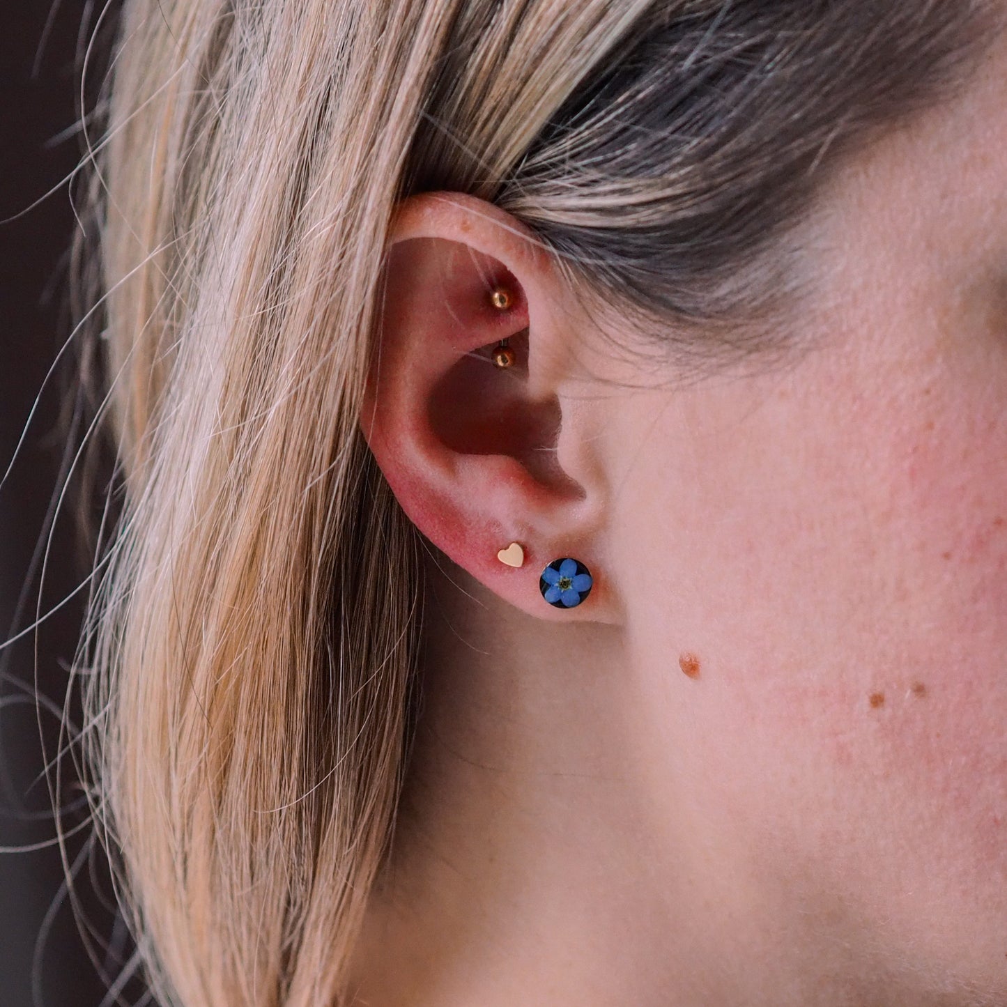 „Forget-Me-Not“ - Ohrstecker mit echten Vergissmeinnicht, 14k Goldfilled, 6mm