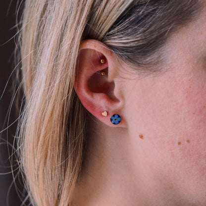 „Forget-Me-Not“ - Ohrstecker mit echten Vergissmeinnicht, 14k Goldfilled, 6mm