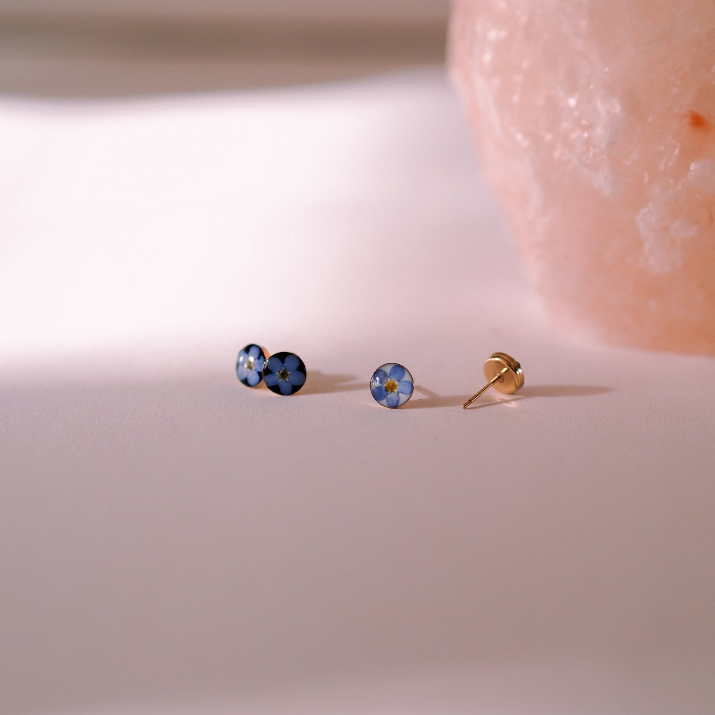 „Forget-Me-Not“ - Ohrstecker mit echten Vergissmeinnicht, 14k Goldfilled, 6mm
