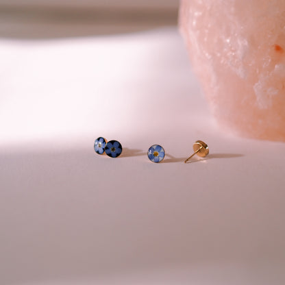 „Forget-Me-Not“ - Ohrstecker mit echten Vergissmeinnicht, 14k Goldfilled, 6mm