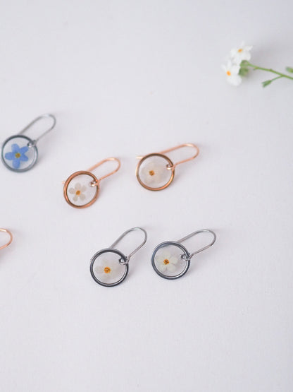 „Forget-Me-Not“ - Ohrringe mit echten Vergissmeinnicht, Edelstahl