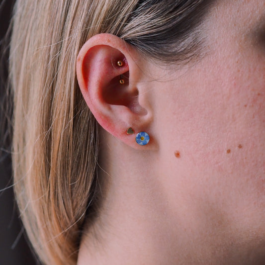 Ohrstecker „Forget-me-not“ - echte Vergissmeinnicht, 14k Goldfilled, 6mm