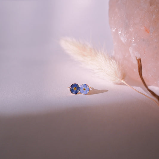 „Forget-Me-Not“ - Ohrstecker mit echten Vergissmeinnicht, 14k Goldfilled, 6mm