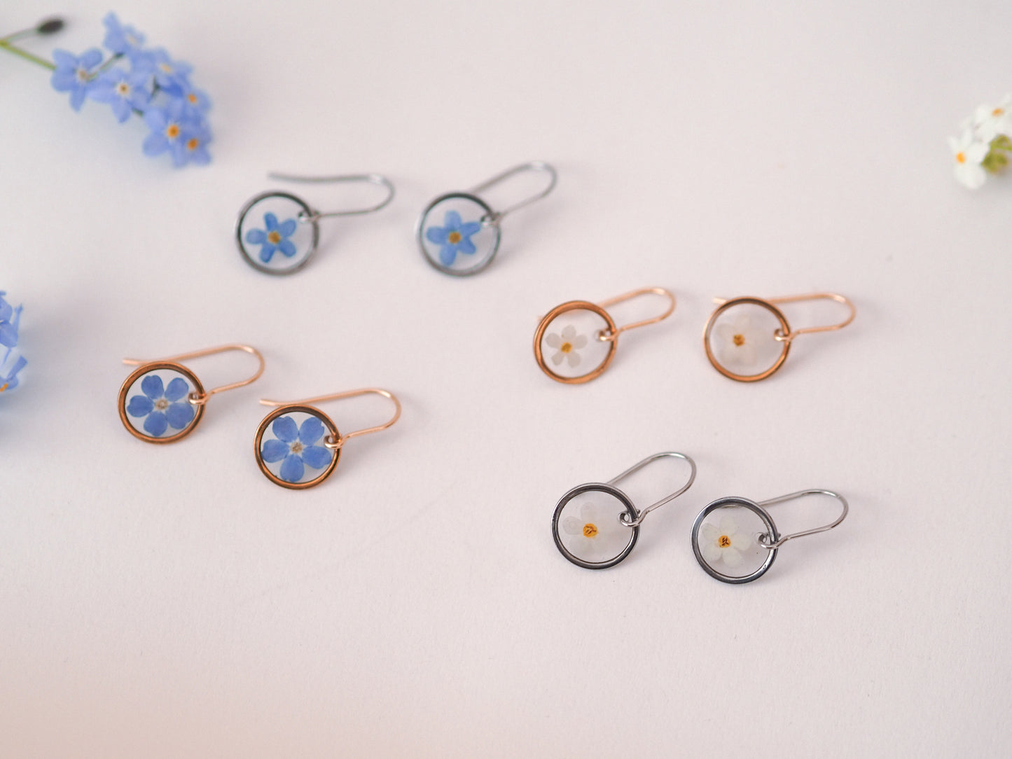„Forget-Me-Not“ - Ohrringe mit echten Vergissmeinnicht, Edelstahl
