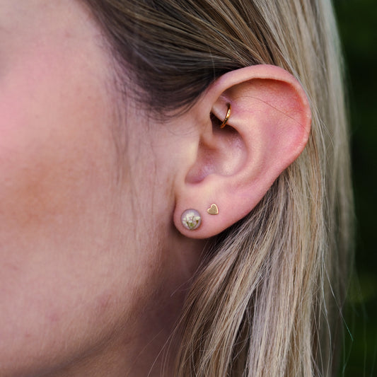 Ohrstecker „Lace“ - echte Wilde Möhre, 14k Goldfilled