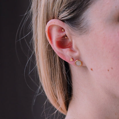 "Garden Love" - Ohrstecker mit echten Blüten, 14k Goldfilled, 8mm