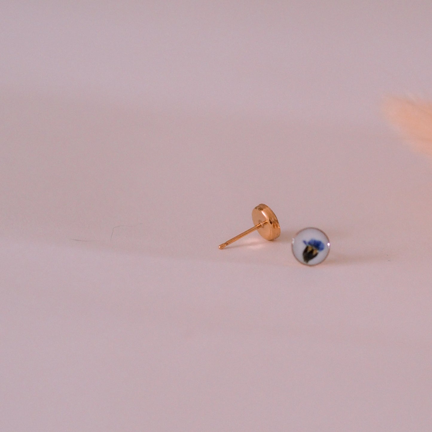„Forget-Me-Not“ - Ohrstecker mit echten Vergissmeinnicht, 14k Goldfilled, 6mm