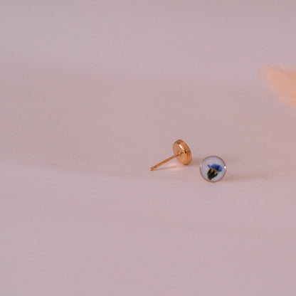 „Forget-Me-Not“ - Ohrstecker mit echten Vergissmeinnicht, 14k Goldfilled, 6mm