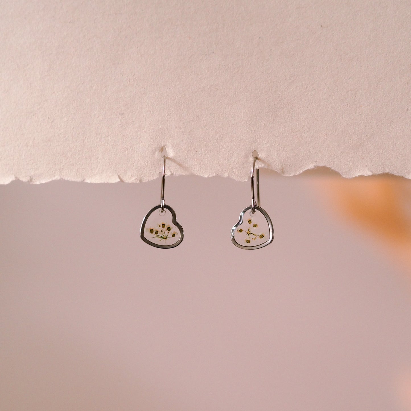 „Lace“ - Ohrringe mit echter Wilde Möhre, Edelstahl