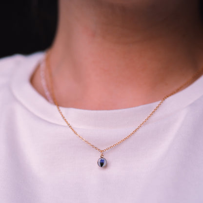 „Forget-Me-Not“ - feine Halskette mit echten Vergissmeinnicht, Anhänger 6mm, 14k Goldfilled