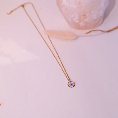 „Forget-Me-Not“ - Halskette mit echten Vergissmeinnicht, Edelstahl