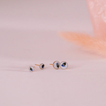 „Forget-Me-Not“ - Ohrstecker mit echten Vergissmeinnicht, 14k Goldfilled, 6mm