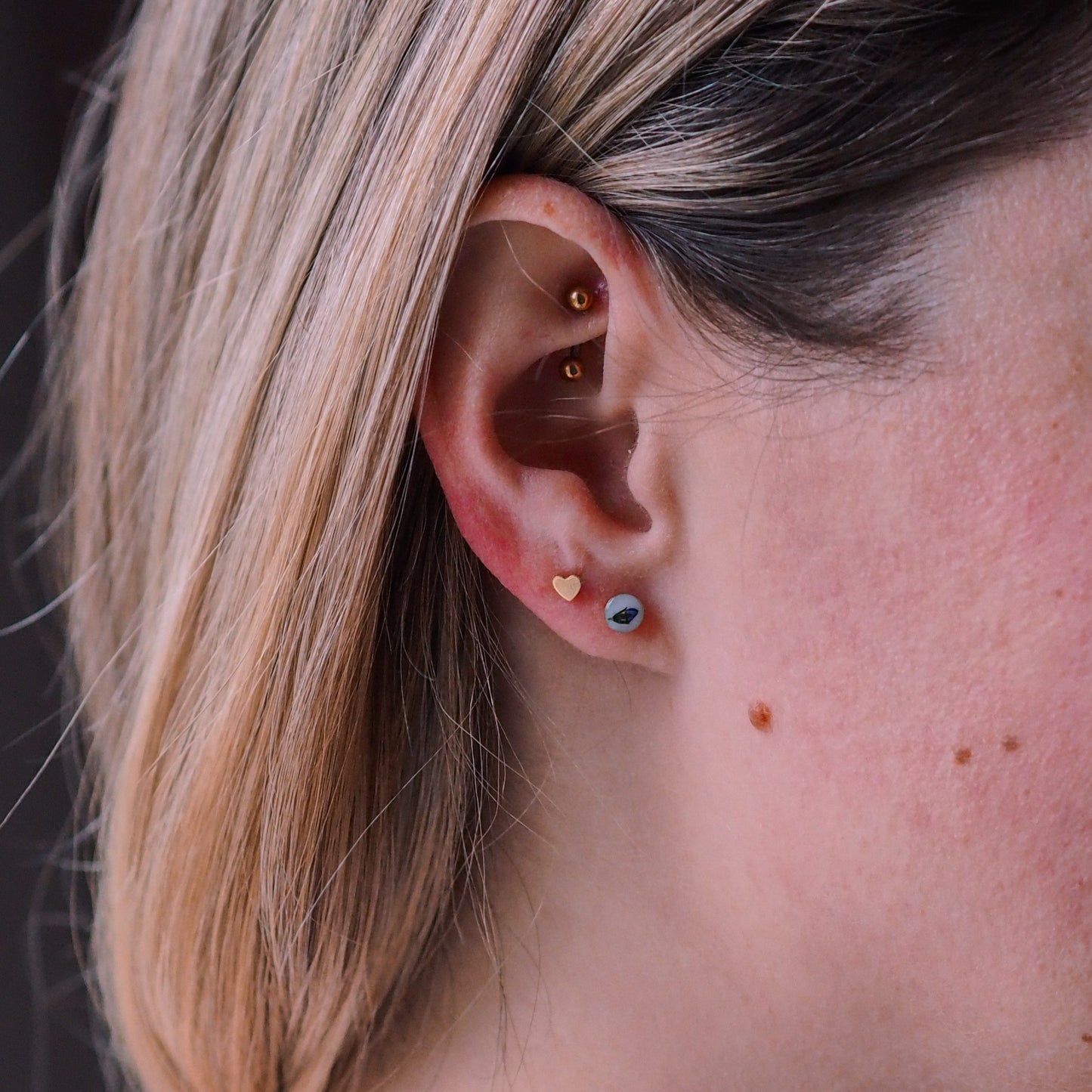 „Forget-Me-Not“ - Ohrstecker mit echten Vergissmeinnicht, 14k Goldfilled, 4mm