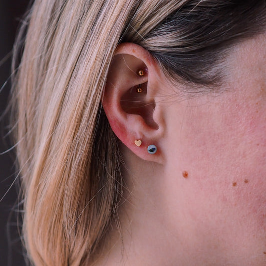 „Forget-Me-Not“ - Ohrstecker mit echten Vergissmeinnicht, 14k Goldfilled, 4mm