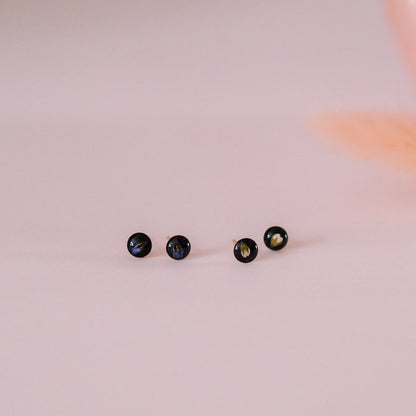 „Forget-Me-Not“ - Ohrstecker mit echten Vergissmeinnicht, 14k Goldfilled, 4mm