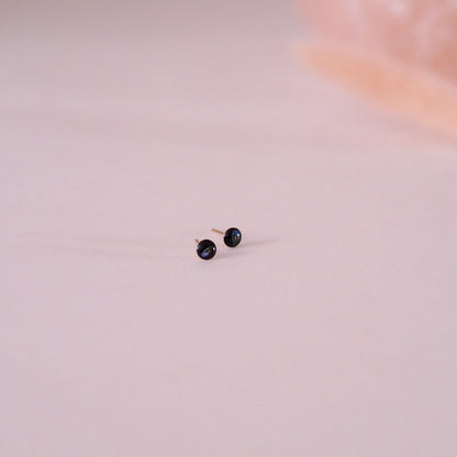 „Forget-Me-Not“ - Ohrstecker mit echten Vergissmeinnicht, 14k Goldfilled, 4mm