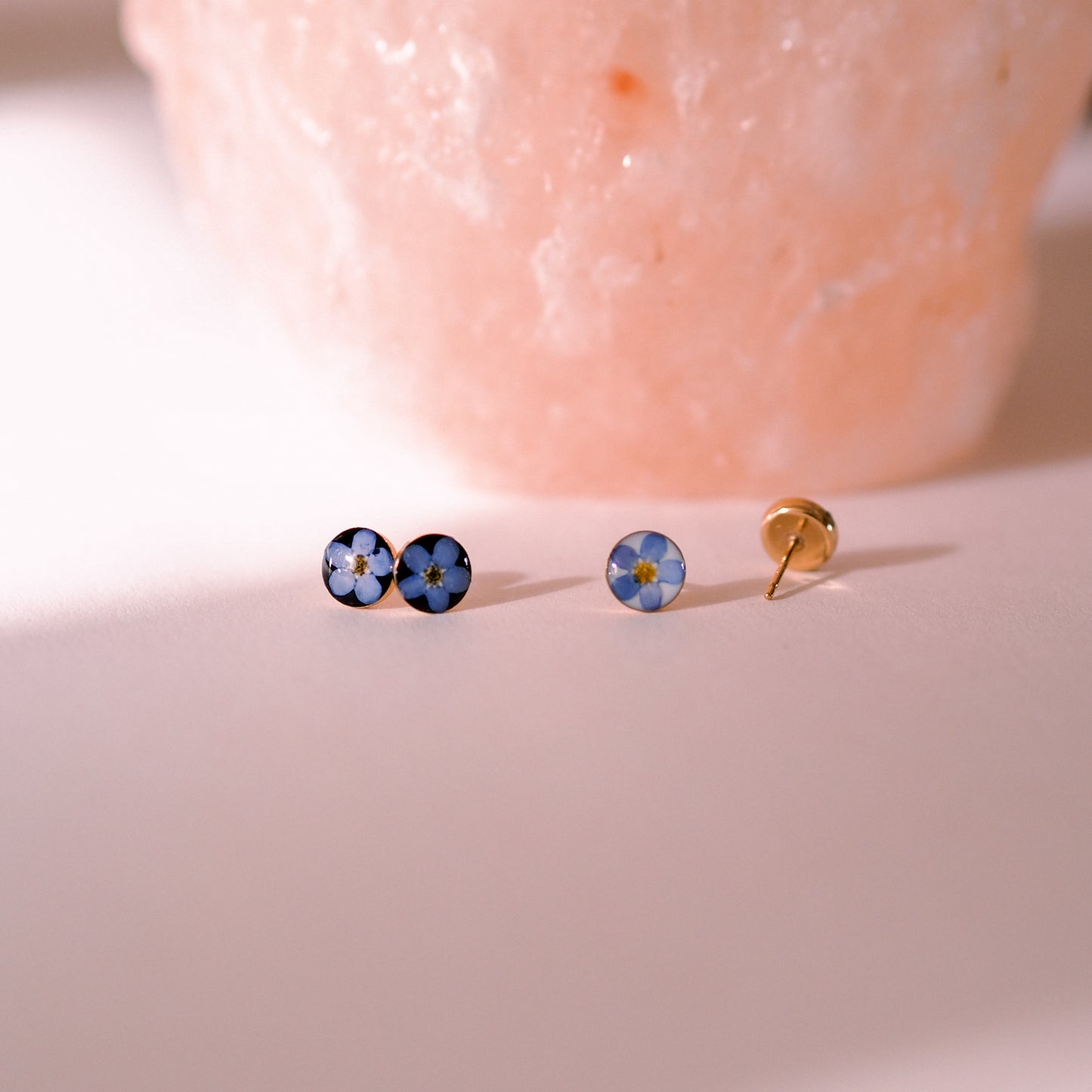 „Forget-Me-Not“ - Ohrstecker mit echten Vergissmeinnicht, 14k Goldfilled, 6mm