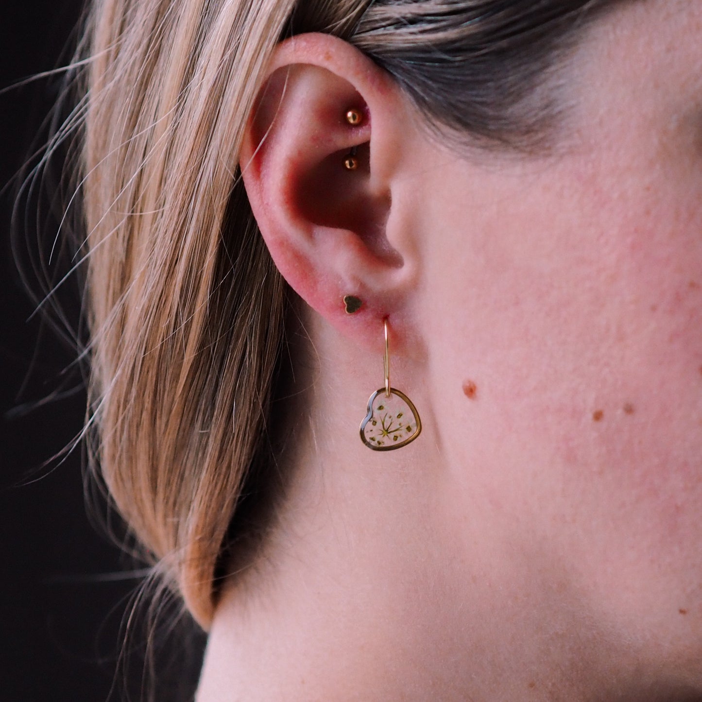 „Lace“ - Ohrringe mit echter Wilde Möhre, Edelstahl