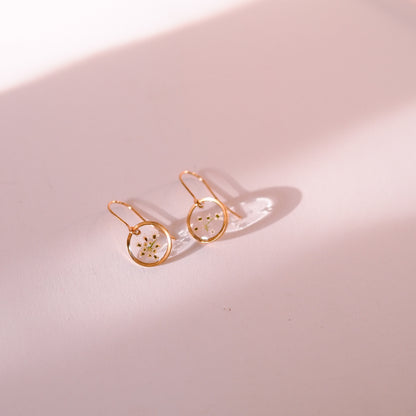 „Lace“ - Ohrringe mit echter Wilde Möhre, Edelstahl