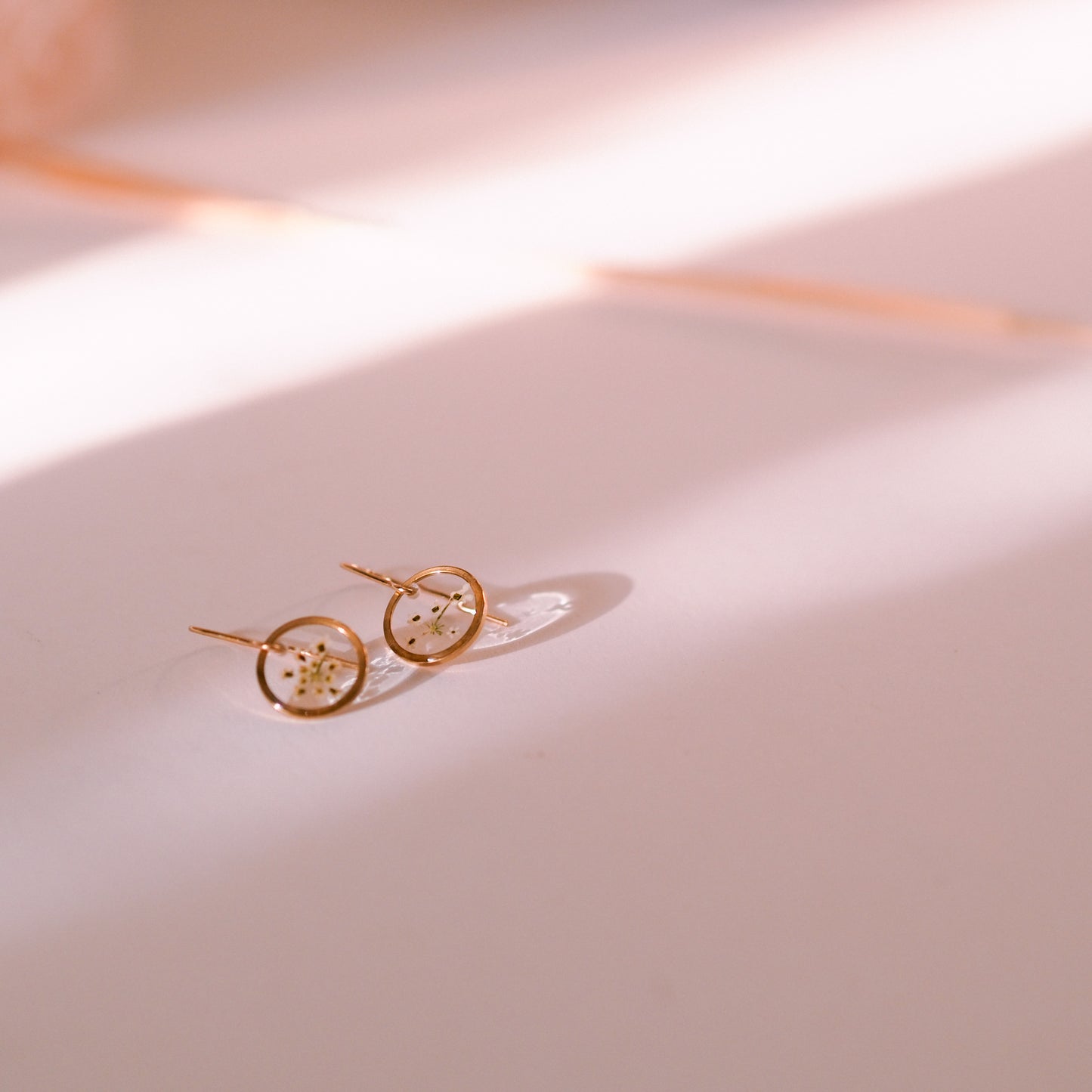 „Lace“ - Ohrringe mit echter Wilde Möhre, Edelstahl