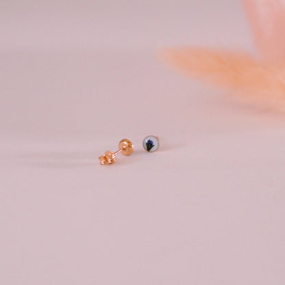„Forget-Me-Not“ - Ohrstecker mit echten Vergissmeinnicht, 14k Goldfilled, 4mm