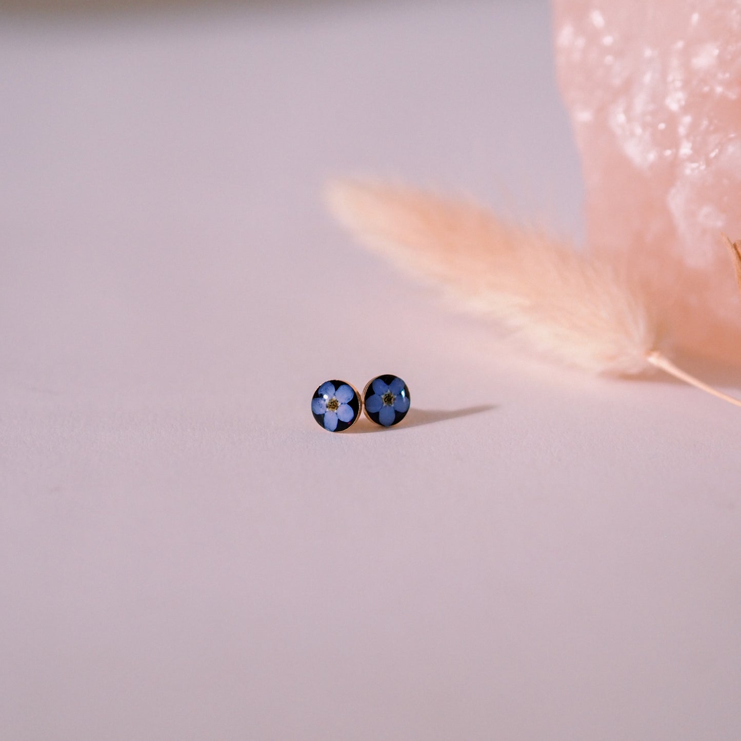 „Forget-Me-Not“ - Ohrstecker mit echten Vergissmeinnicht, 14k Goldfilled, 6mm