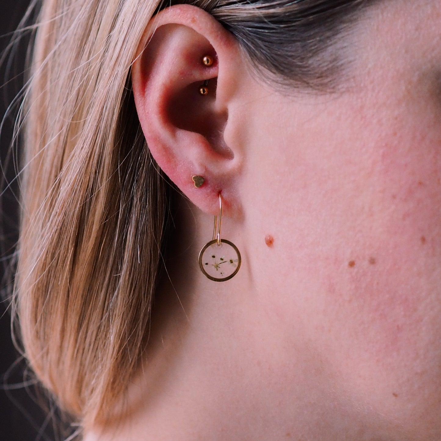 „Lace“ - Ohrringe mit echter Wilde Möhre, Edelstahl