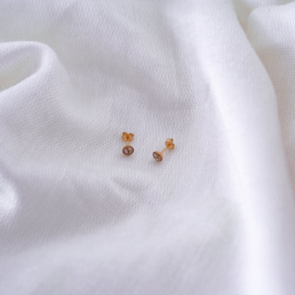 Ohrstecker „Lace“ - echte Wilde Möhre, 14k Goldfilled