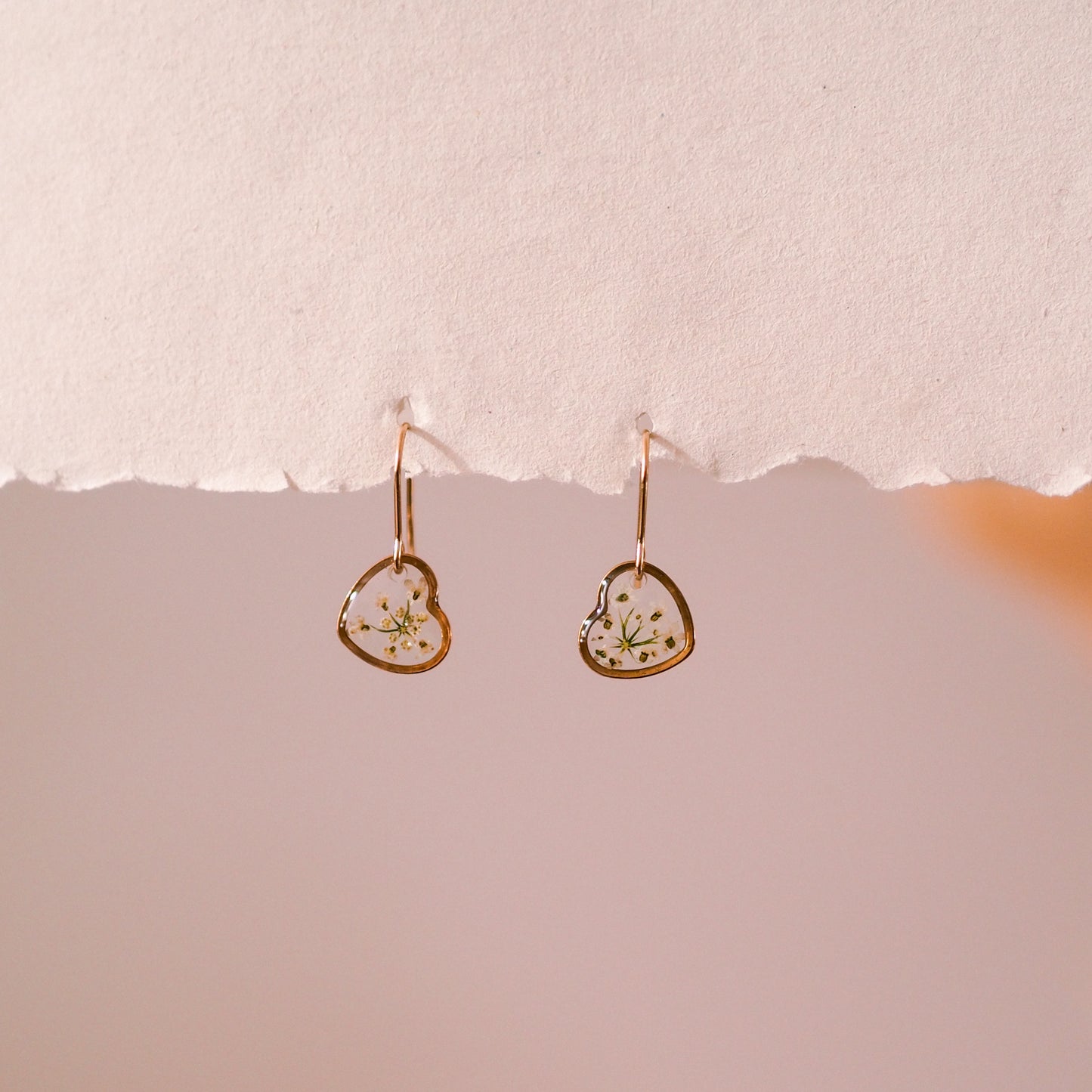 „Lace“ - Ohrringe mit echter Wilde Möhre, Edelstahl