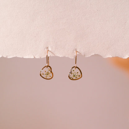 „Lace“ - Ohrringe mit echter Wilde Möhre, Edelstahl