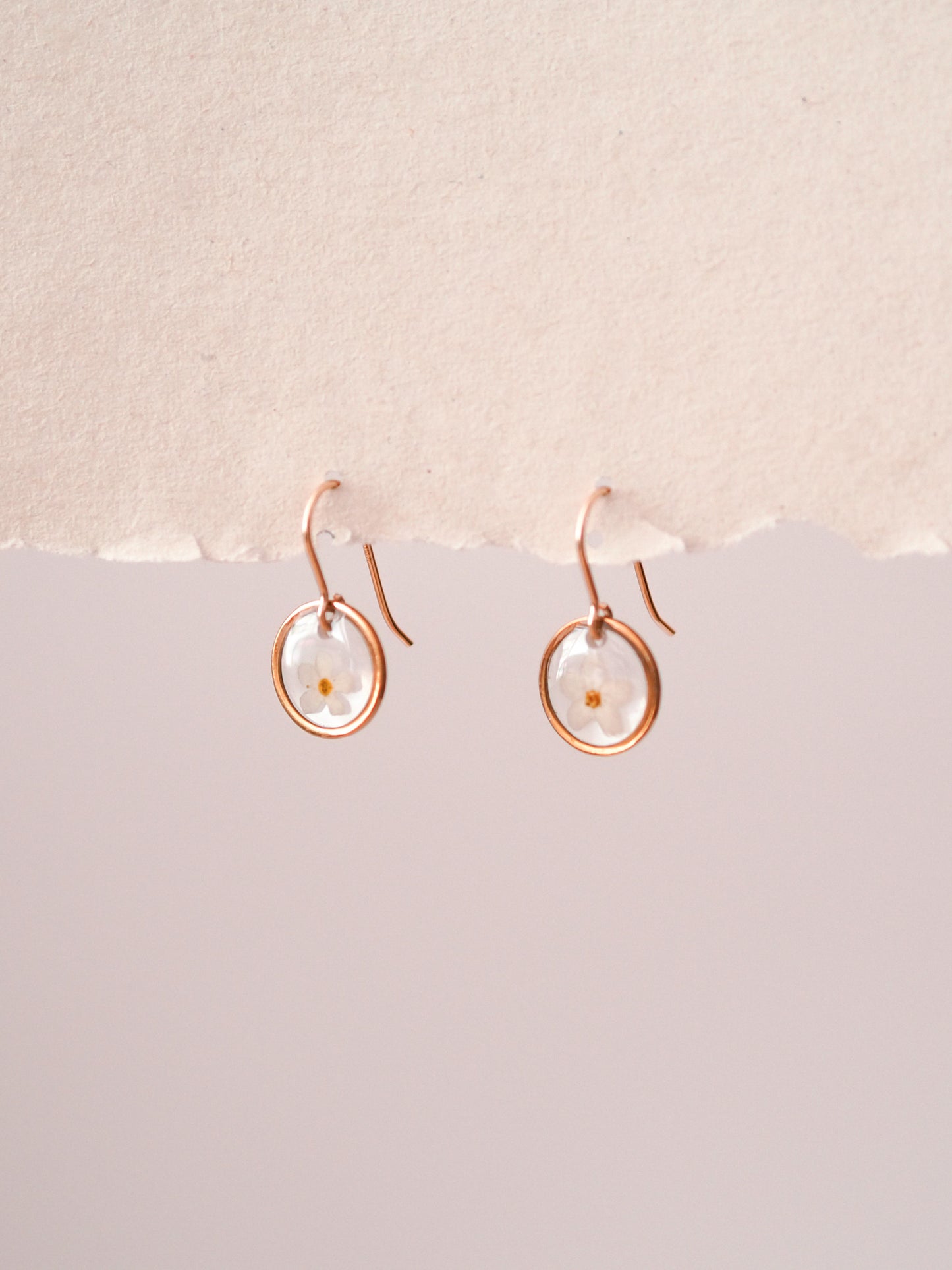 „Forget-Me-Not“ - Ohrringe mit echten Vergissmeinnicht, Edelstahl