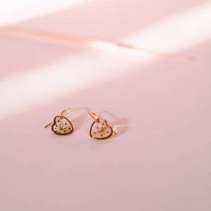 „Lace“ - Ohrringe mit echter Wilde Möhre, Edelstahl