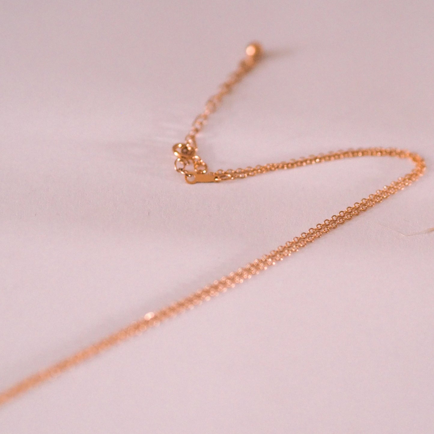 „Forget-Me-Not“ - feine Halskette mit echten Vergissmeinnicht, Anhänger 6mm, 14k Goldfilled