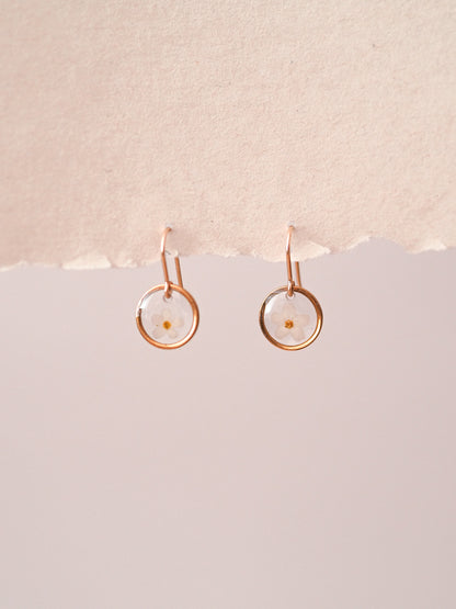 „Forget-Me-Not“ - Ohrringe mit echten Vergissmeinnicht, Edelstahl