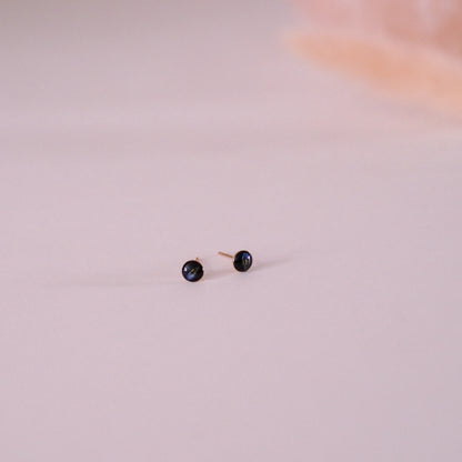 „Forget-Me-Not“ - Ohrstecker mit echten Vergissmeinnicht, 14k Goldfilled, 4mm